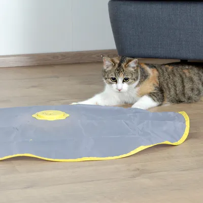 Cat playing with a grey play mat with yellow edge and integrated yellow button on a wooden floor.