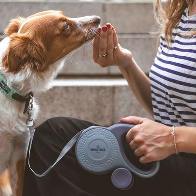 Femme tenant une laisse rétractable grise Nomad Tales, un chien avec collier vert Nomad Tales reçoit une friandise de sa main. Matériaux visibles : plastique, tissu.