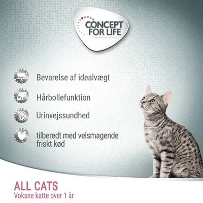 CONCEPT FOR LIFE. Bevarelse af idealvægt, hårbollefunktion, urinvejssundhed, tilberedt med velsmagende friskt kød. ALL CATS Voksne katte over 1 år. Billede af gråstribet kat.