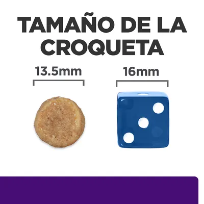 Tamaño de la croqueta: 13,5 mm comparado con un dado azul de 16 mm. Imagen muestra una croqueta redonda junto a un dado para referencia visual.