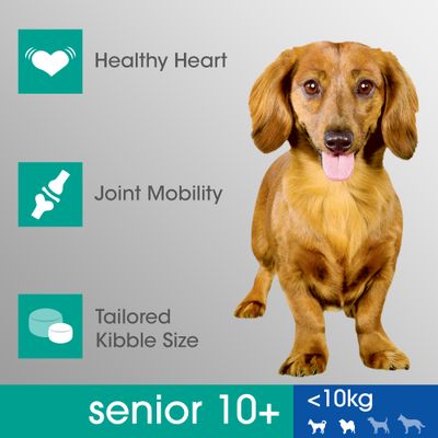 PERFECT FIT senior 10+ <10kg dry dog food, total 5, developed with veterinarians, visible kibble, mobility support, rich in chicken. Text in English, French, Dutch, German.