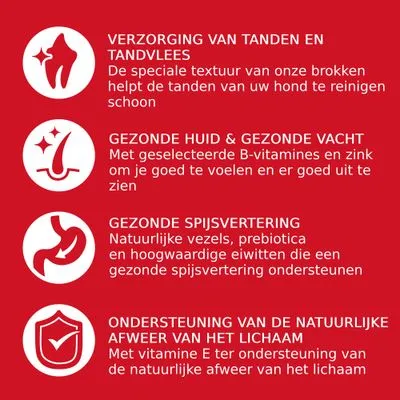 Verzorging tanden en tandvlees, gezonde huid & vacht, gezonde spijsvertering, ondersteuning natuurlijke afweer. Tekst over B-vitamines, zink, vezels, prebiotica, vitamine E.