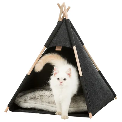 Černý stan tipi s dřevěnými tyčemi a měkkým polštářem, bílá kočka stojí ve vchodu. Značka Trixie viditelná.