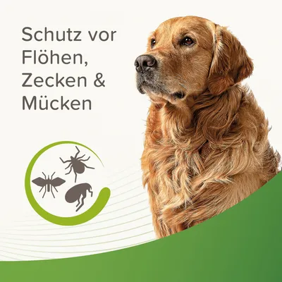 beaphar Zecken- & Flohschutz-Halsband für Hunde, beige - ca. 65 cm Halsumfang
