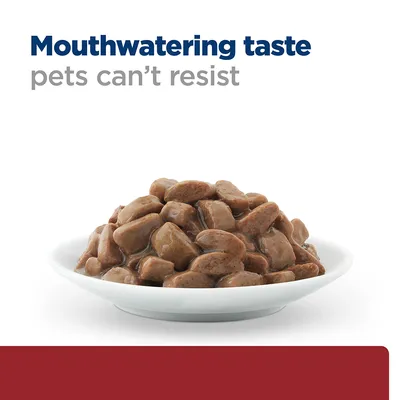 Natpis na engleskom: Mouthwatering taste pets can't resist. Prikaz komadića hrane u umaku na bijelom tanjuru.