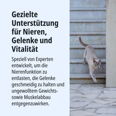 Gezielte Unterstützung für Nieren, Gelenke und Vitalität. Entwickelt zur Entlastung der Nierenfunktion, für geschmeidige Gelenke und gegen Gewichts- sowie Muskelabbau.