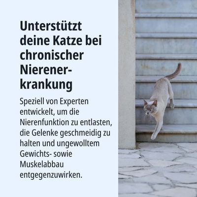 Unterstützt deine Katze bei chronischer Nierenerkrankung. Entwickelt zur Entlastung der Nierenfunktion, Gelenkpflege und Vorbeugung von Gewichts- sowie Muskelabbau.