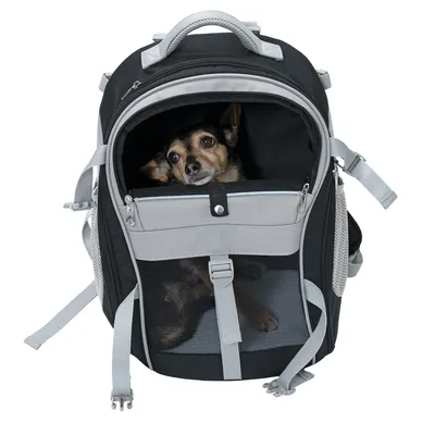 Zaino nero e grigio con finestra a rete, adatto al trasporto di pet. Cerniere e cinghie visibili per chiusura sicura e comfort di trasporto.