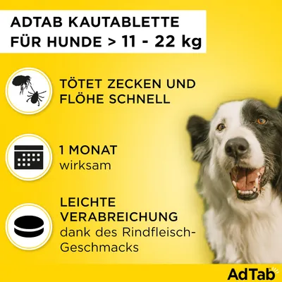 AdTab Kautablette für Hunde >11-22kg. Tötet Zecken und Flöhe schnell, 1 Monat wirksam, leichte Verabreichung dank Rindfleisch-Geschmack.