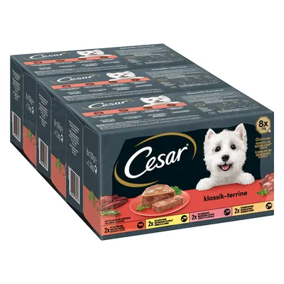 Balení Cesar klassik-terrine, 8×150 g. Na obalu vyobrazeny porce masové teriny a text: 2× hovězí, 2× kuře, 2× telecí, 2× jehněčí. Viditelný čárový kód.