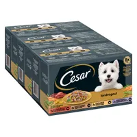 Cesar Country Stew Mixed Pack - 8 x 150g