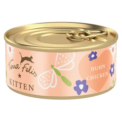 Terra Felis Kitten 18 x 70 g - Marha & nyúl