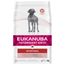 Eukanuba VETERINARY DIETS  Adult Intestinal 5 kg