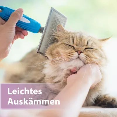 Hand kämmt eine langhaarige Katze mit einer blauen Bürste. Text: Leichtes Auskämmen.
