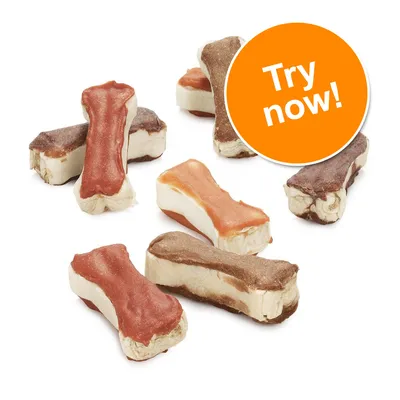Bone-shaped dog treats in red, brown and beige colours. Orange circle with white text: Try now! Bone-shaped dog treats in red, brown and beige colours. Orange circle with white text: Try now!