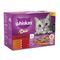 Whiskas 1+ Duo Meaty Combos in Jelly 48 x 85g