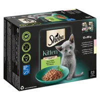 Sheba Kitten variációk vegyes csomag 12 x 85 g - Finom változatosság szószban (lazac; csirke)