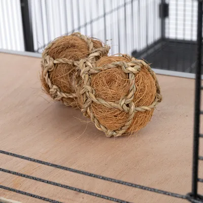 Deux balles en fibres naturelles tressées posées sur le sol d'une cage, sans marque visible ni texte. Deux balles en fibres naturelles tressées posées sur le sol d'une cage, sans marque visible ni texte.
