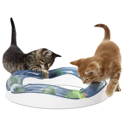 Spielzeug für Katzen mit gewellter Bahn und grünen Bällen, zwei Kätzchen spielen damit.