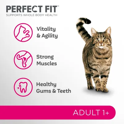 Teksti: PERFECT FIT, supports whole body health, vitality & agility, strong muscles, healthy gums & teeth, ADULT 1+. Kuvassa raidallinen kissa. Tekstit englanniksi.