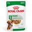 Royal Canin Mini Adult  in Soße Sparpaket: 24 x 85 g