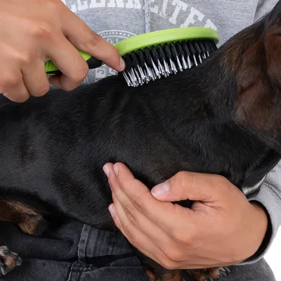 Persoon borstelt de vacht van een hond met een groene borstel. Demonstratie van vachtverzorging met het product.