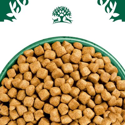 Bowl filled with square-shaped dry pet food kibble, shown close up from above.