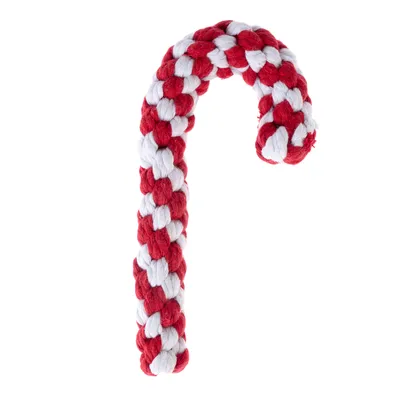 TIAKI Hundespielzeug Zuckerstange - L 19 x B 9 x H 3 cm
