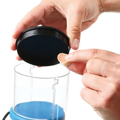 Ръце държат прозрачен контейнер с черен капак и поставят кръгло лакомство вътре. Контейнерът има синя основа.