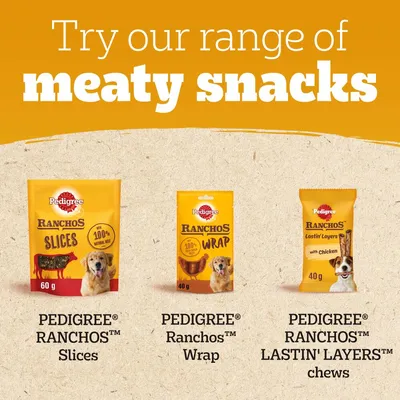 Try our range of meaty snacks: PEDIGREE RANCHOS Slices, PEDIGREE Ranchos Wrap, PEDIGREE RANCHOS LASTIN' LAYERS chews with chicken. 60g and 40g packs shown. Try our range of meaty snacks: PEDIGREE RANCHOS Slices, PEDIGREE Ranchos Wrap, PEDIGREE RANCHOS LASTIN' LAYERS chews with chicken. 60g and 40g packs shown.