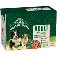 James Wellbeloved Adult Hypoallergenic Pouches - Lamb & Chicken with Rice - 12 x 90g