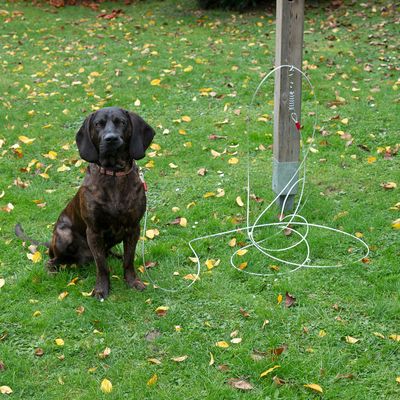 Stříbrné ocelové lanko se dvěma karabinami a pružinou, červené plastové potahy na koncích.
