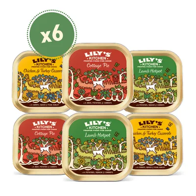 Lily's Kitchen Proper Food for Dogs, lot de 6 : casserole poulet et dinde, cottage pie, ragoût d'agneau. Ingrédients visibles : carottes, pommes de terre, orge perlé, potiron. Lily's Kitchen Proper Food for Dogs, lot de 6 : casserole poulet et dinde, cottage pie, ragoût d'agneau. Ingrédients visibles : carottes, pommes de terre, orge perlé, potiron.