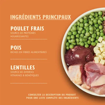 Ingrédients principaux : poulet frais, pois, lentilles. Poulet frais source de protéines nourrissantes, pois riches en fibres alimentaires, lentilles source de vitamines B bénéfiques.