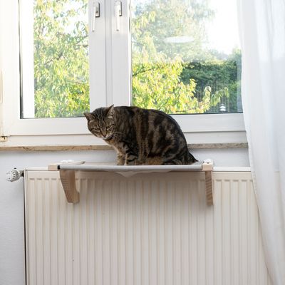 Drevené a látkové ležadlo pre mačky, namontované na radiátore pod oknom. Na ňom sedí tigríkovaná mačka.