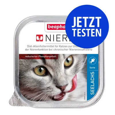 beaphar Nieren Diät-Alleinfuttermittel für Katzen zur Unterstützung der Nierenfunktion bei chronischer Niereninsuffizienz, reduzierter Phosphorgehalt, Sorte Seelachs. Jetzt testen.