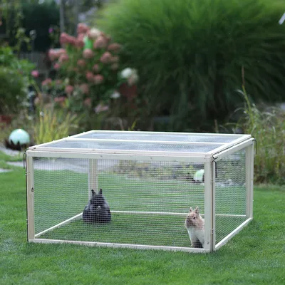 Enclos rectangulaire en bois et grillage métallique posé sur l’herbe, avec deux lapins à l’intérieur. Toit grillagé visible, adapté pour extérieur.