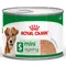 Royal Canin Mini Ageing Mousse výhodné balenie: 24 x 195 g