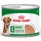 Royal Canin Mini Ageing Mousse pour chien 12 x 195 g