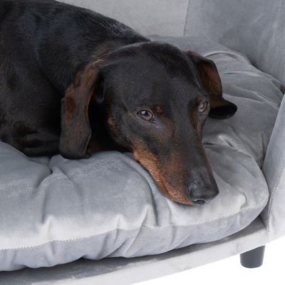 Hund ligger på en grå, vadderad husdjursbädd med mjukt tygöverdrag.