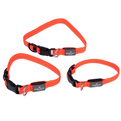 Nomad Tales Hundehalsbänder in leuchtendem Orange mit schwarzem Verschluss und Metallring, drei Grössen sichtbar. Nomad Tales Hundehalsbänder in leuchtendem Orange mit schwarzem Verschluss und Metallring, drei Grössen sichtbar.