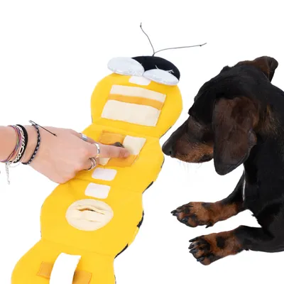 Gult interaktivt leksak i form av ett bi med flera fickor, en hand pekar på ett fack. Hund tittar på leksaken.