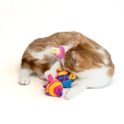 Braun-weisse Katze spielt mit bunten Stoffspielzeugen in Form von Mäusen.