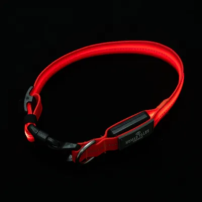 Collier pour chien en nylon rouge avec boucle noire, anneau métallique et plaque visible portant le nom de la marque NOMAD TALES.
