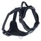 TIAKI Geschirr Perfect Fit Größe XS: 42,5 - 48,3 cm Brustumfang