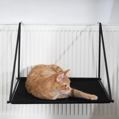 Viseča ležišča iz črne tkanine z kovinskim okvirjem, pritrjena na radiator. Na njej leži oranžna mačka.