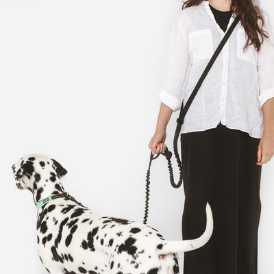 Frau hält eine elastische Hundeleine, die an einem Dalmatiner mit grünem Halsband befestigt ist.