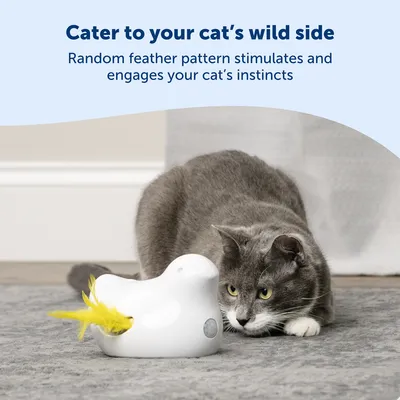 Сива котка играе с бяла играчка с жълти пера. Текст: 'Cater to your cat’s wild side. Random feather pattern stimulates and engages your cat’s instincts.'