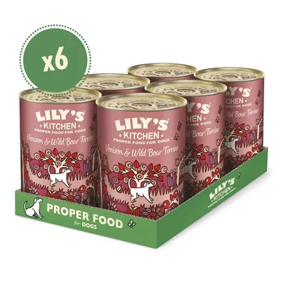 Six cans of Lily's Kitchen Venison & Wild Boar Terrine proper food for dogs in a green tray, with 'x6' shown in a green circle.