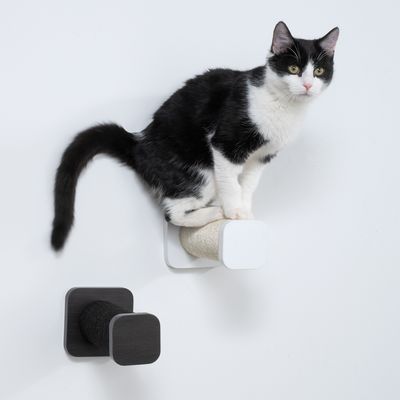 Zwart-witte kat zit op een aan de muur gemonteerde krabrol van sisal. Tweede krabrol in donkere kleur ernaast gemonteerd.